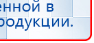 СКЭНАР-1-НТ (исполнение 01 VO) Скэнар Мастер купить в Магадане, Аппараты Скэнар купить в Магадане, Официальный сайт Дэнас kupit-denas.ru